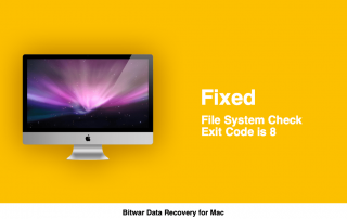 File System Check Exit Code is 8