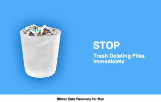 Stop Trash Deleting Files Immediately